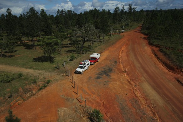 Don't they look good?