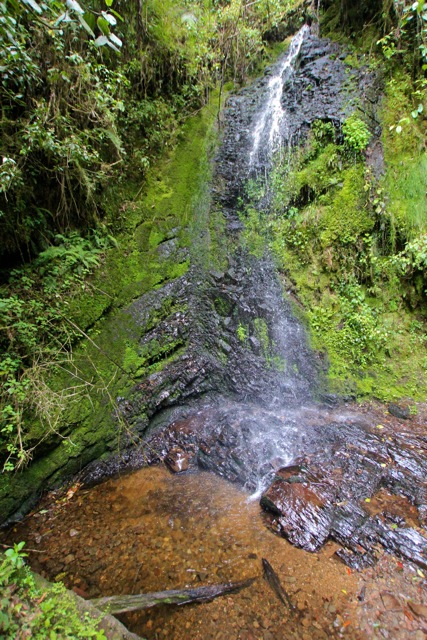 Lucky for me, not possible.