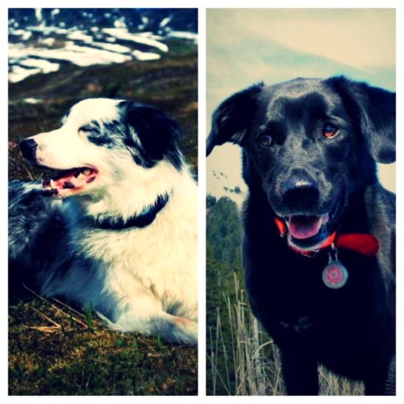 So happy to see these faces!